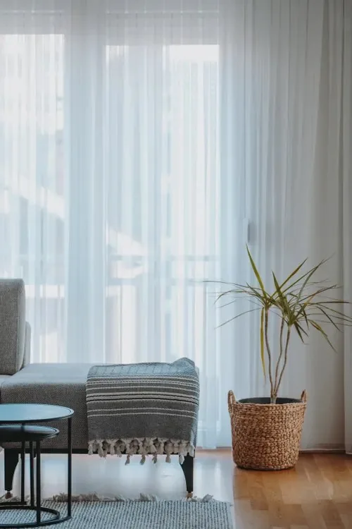 A calm living room corner with a sofa, a plant in a woven basket, and sheer curtains letting in natural light